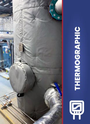 Thermographic Images